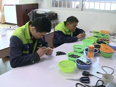 振奮人心 | 東興區(qū)殘疾人就業(yè)創(chuàng)業(yè)正當(dāng)時！